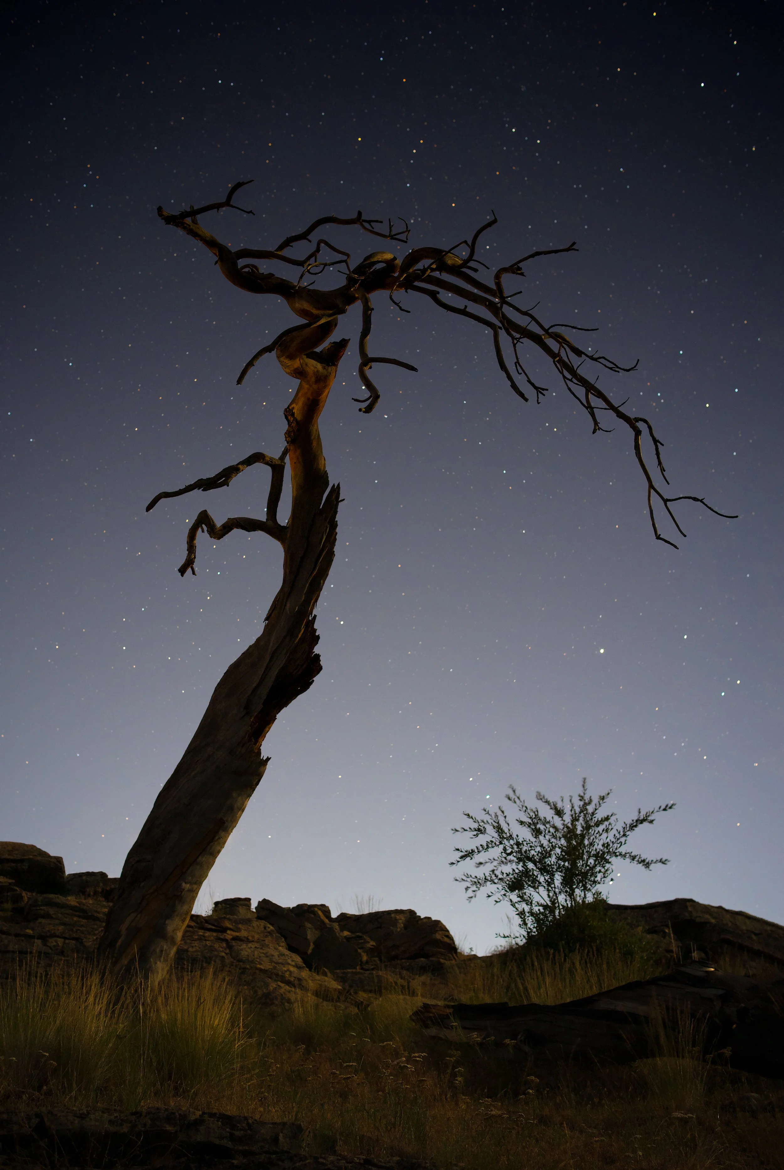 2nd Pass - DSC02081.jpg