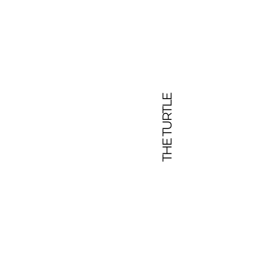 Tank the Turtle