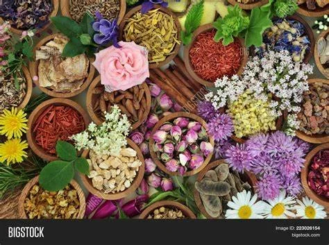 Womb Wellness Bundle