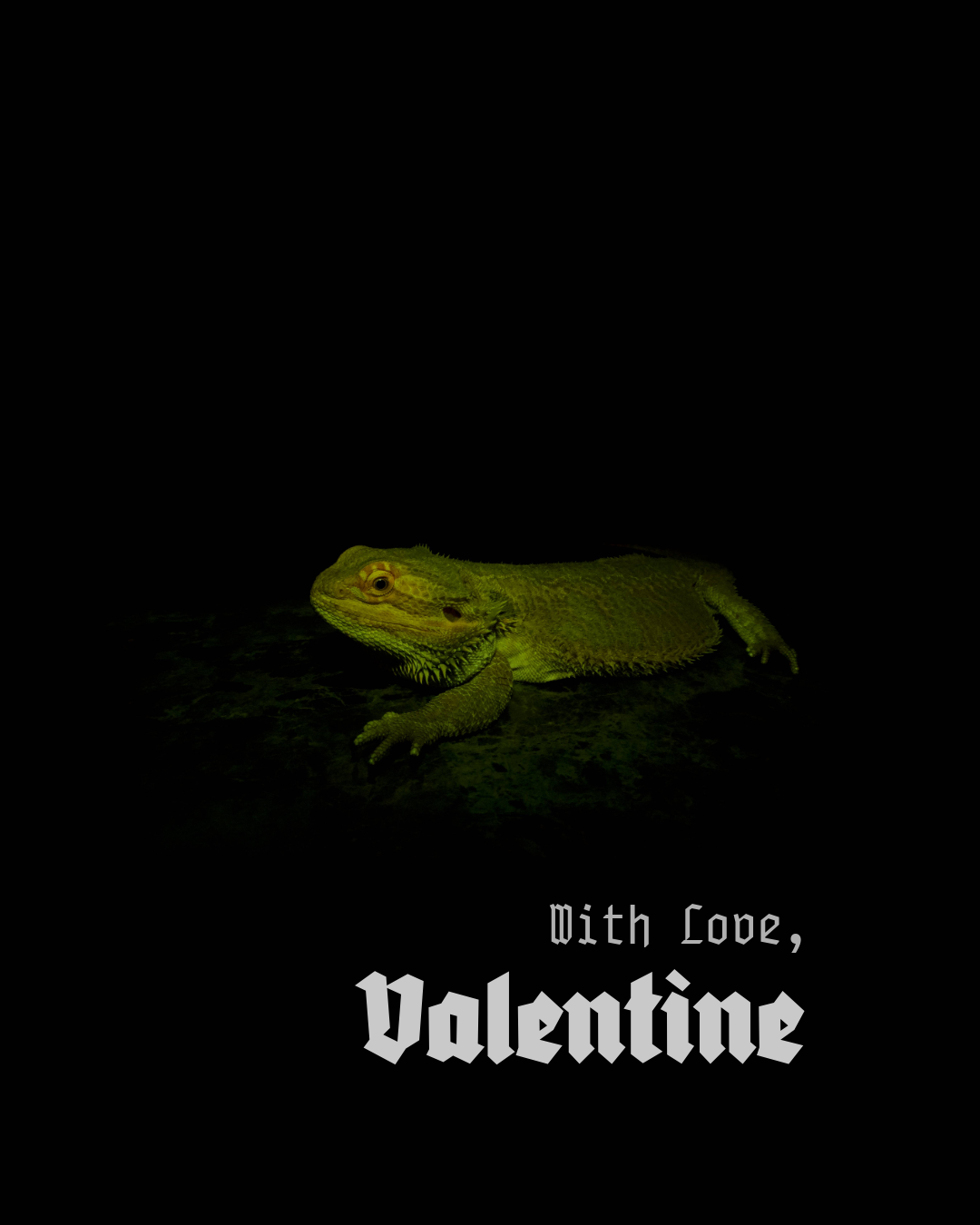Untitled-18.png