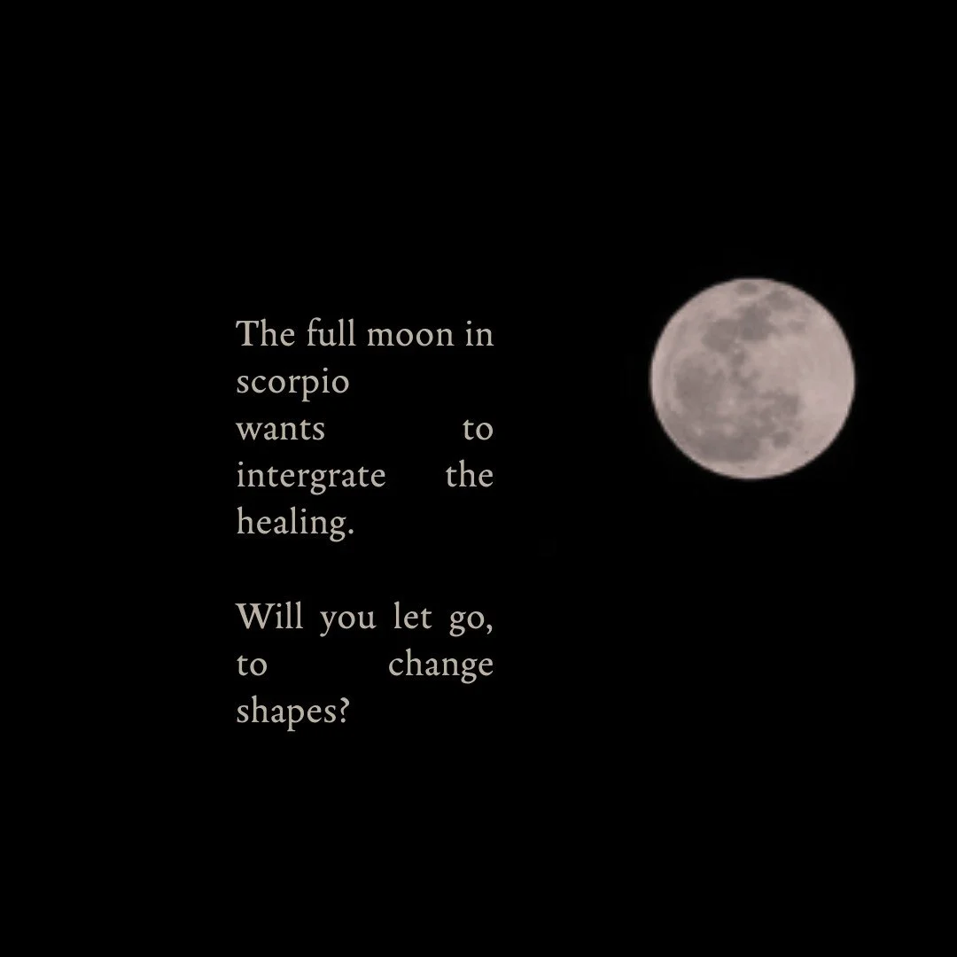 Untitled-7.jpeg