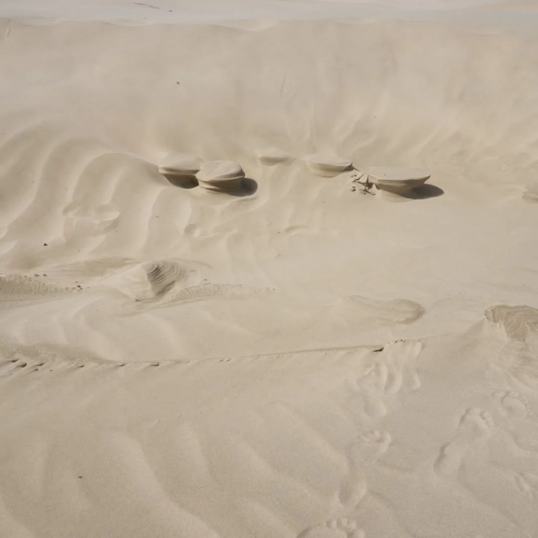 Holiday hangover &amp; the quiet disappointment no one warns mums about 🤎

As the holidays wind down and routines creep back in, many mums feel something unexpected: disappointment.

We thought we&rsquo;d end the break rested.
More connected.
Maybe 