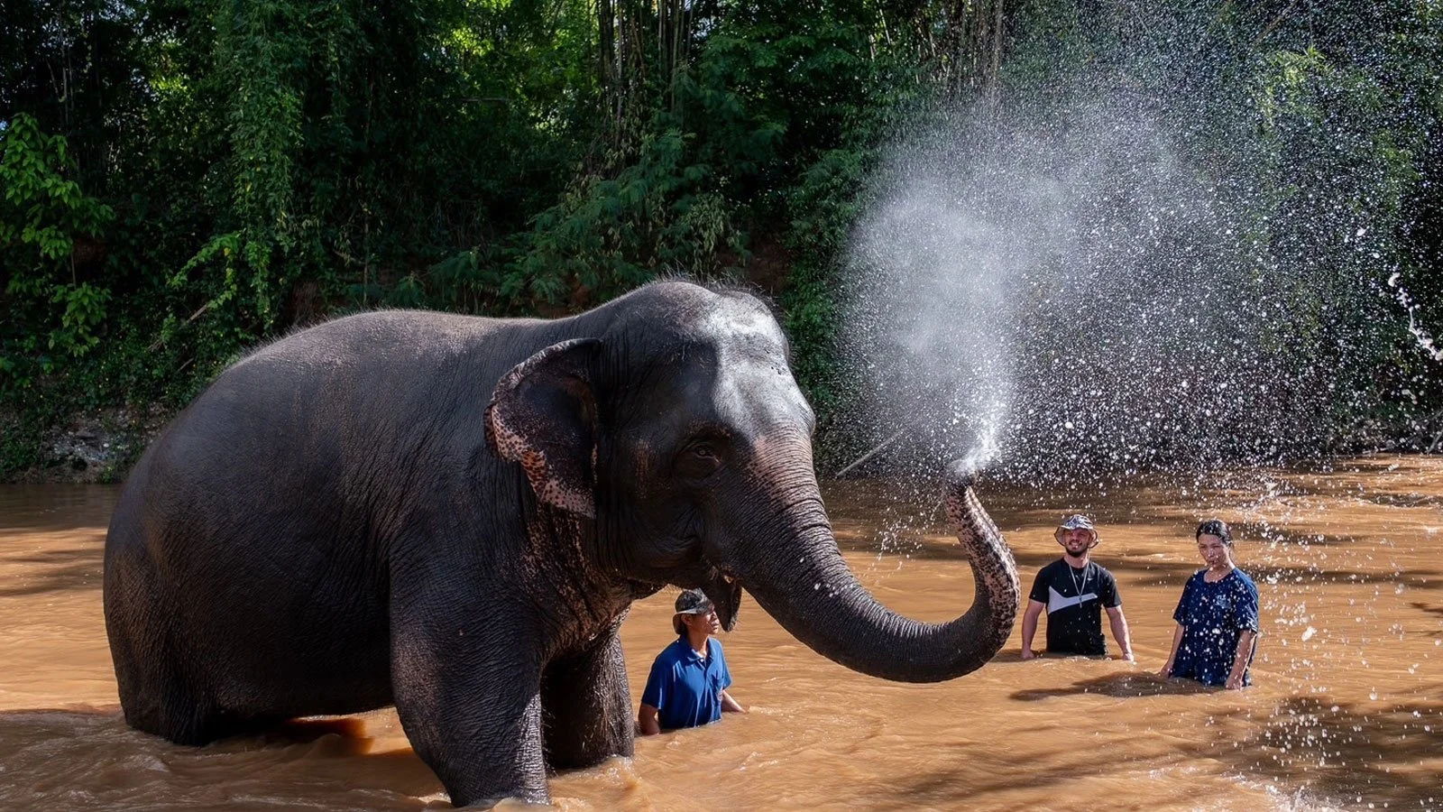 An elephant spraying water onto two people standing in a river with a lush green forest in the background.