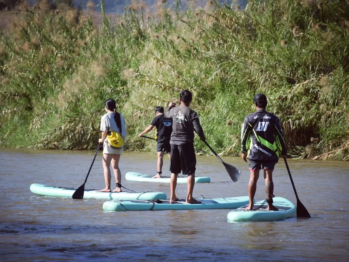 Four people stand on paddleboards in a river, paddling through a lush, green landscape.