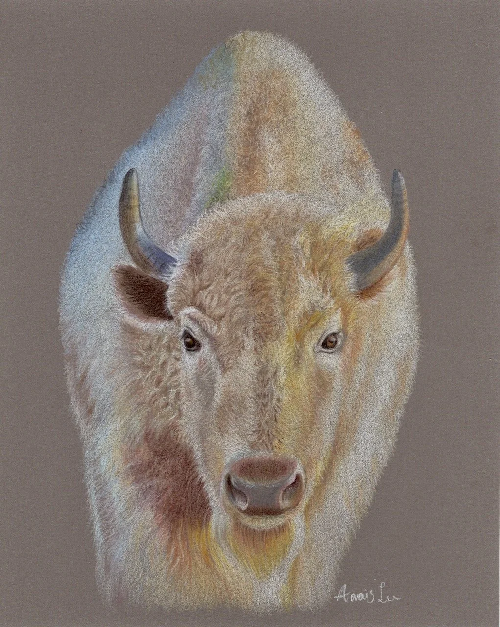 ALee_25_white-bison.jpeg