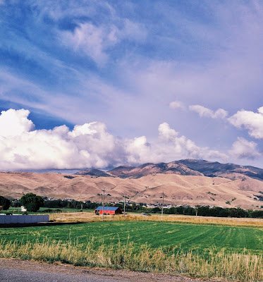 drive fast, wind in my hair