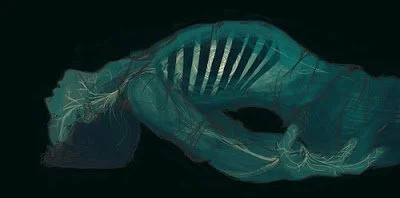 don't wanna live in fear and loathing