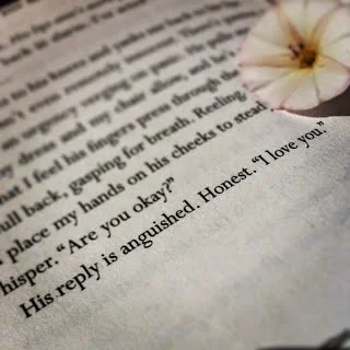 Dear Stephanie Perkins