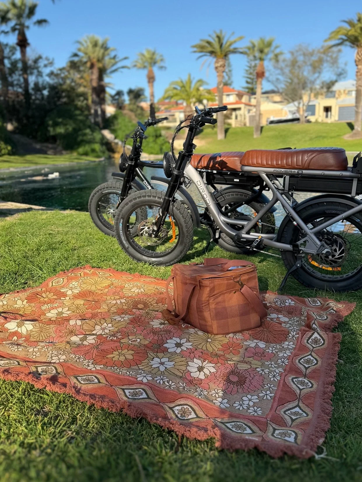 The only upgrade your weekend needs: e-bike + rug + cooler. We&rsquo;ve got it all. 🚲🧺🍷