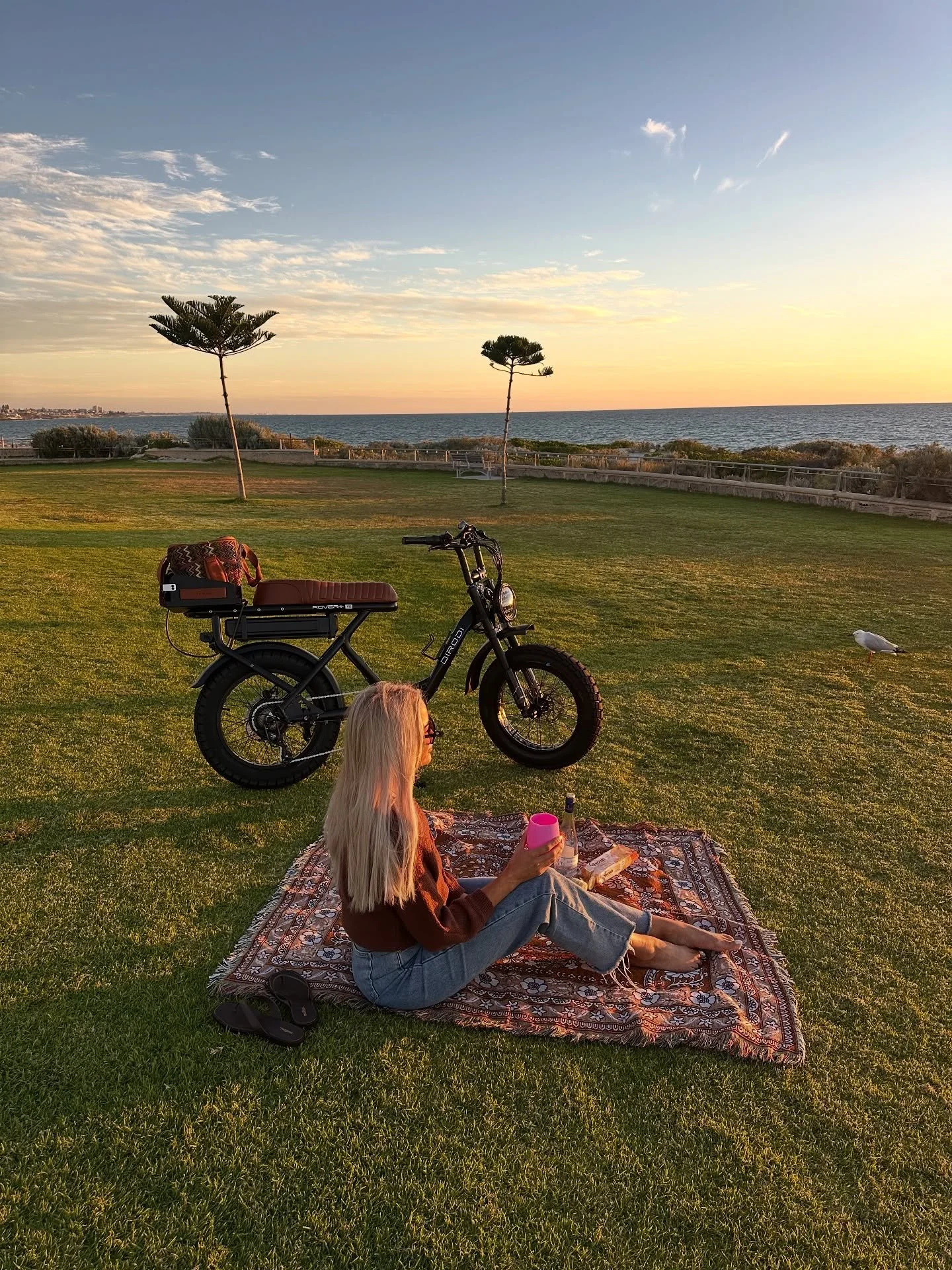 Whole Rodi vibe right here 😍
Bike, rug, cooler bag and an absolute babe living her best sunset life 🌞

Get the full setup @rodihaus for summer ⚡️

#RodiHaus #PerthSummer #EBikeLife #RideInStyle #CoastalVibes