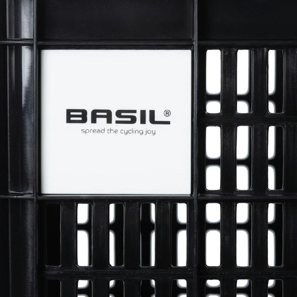 BASCR21146-2.jpg