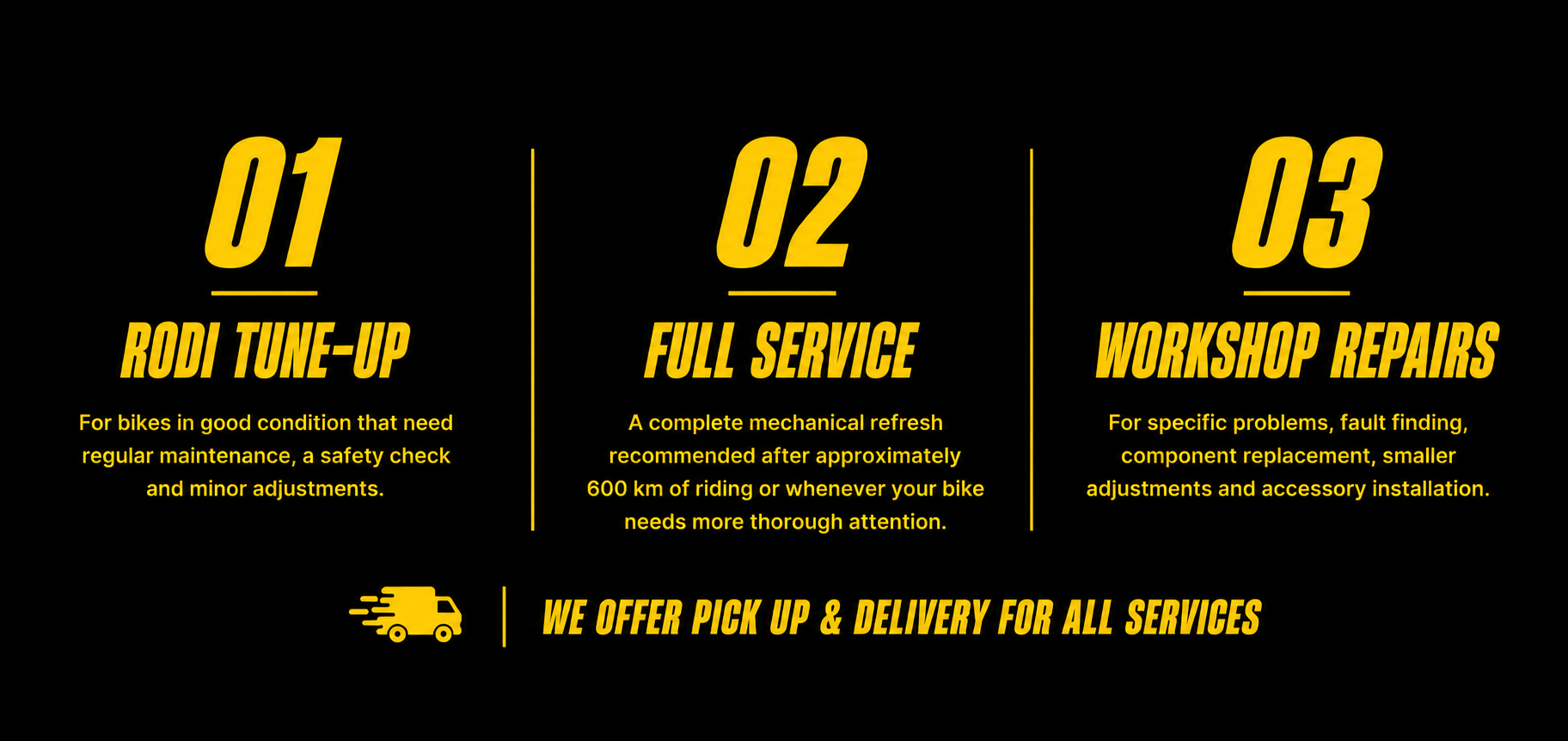 Rodi Electric Tune-Up, Full Service and Workshop Repair service options.