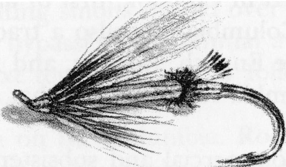drawing of steelhead fly used on clearwater river