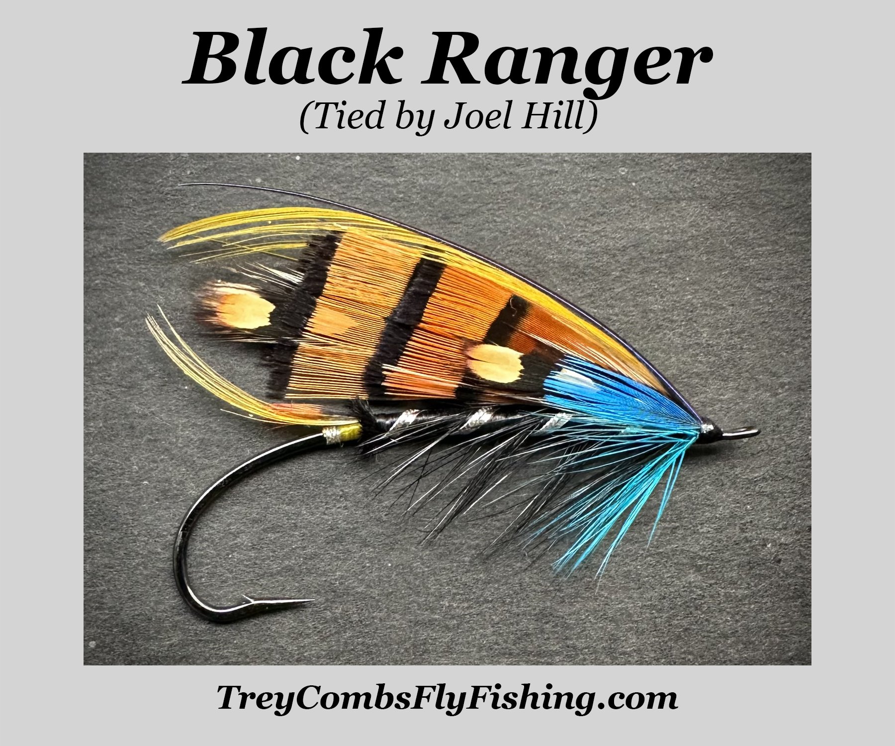 image of a black ranger salmon fly