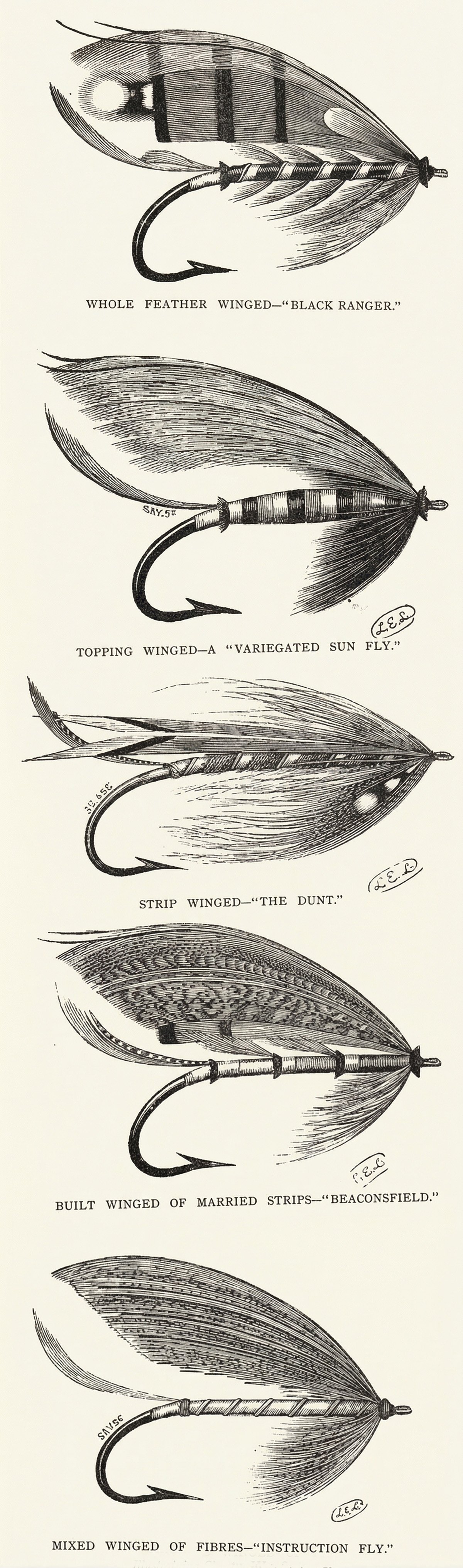 Plate showing five salmon flies with different wing types arranged for comparison (Kelson, 1895)
