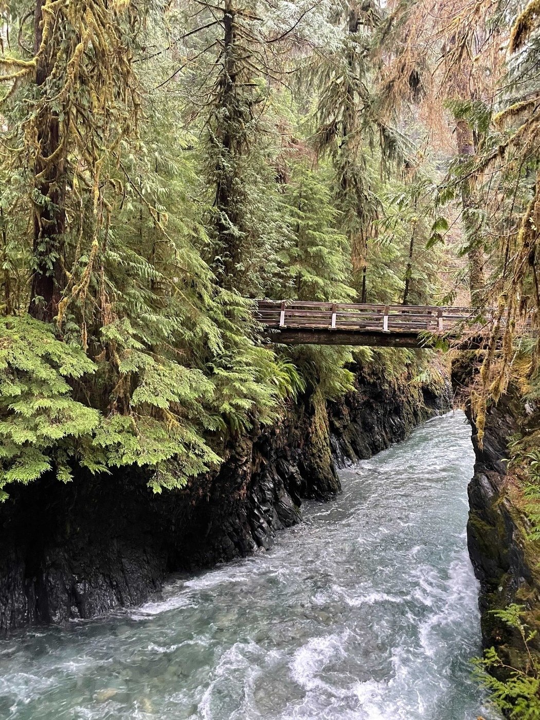 Fishing Friends: Masa