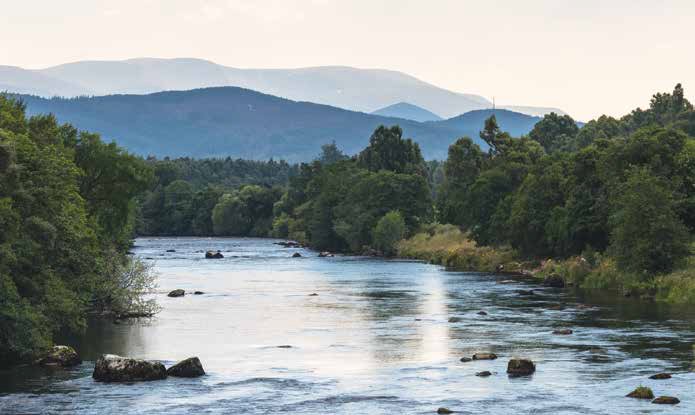 Essay: Introducing the Trey Combs Fly Fishing Archive