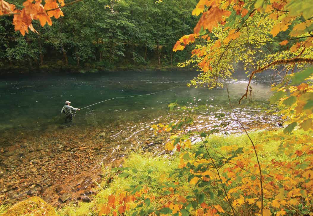 Essay: Learn The Run