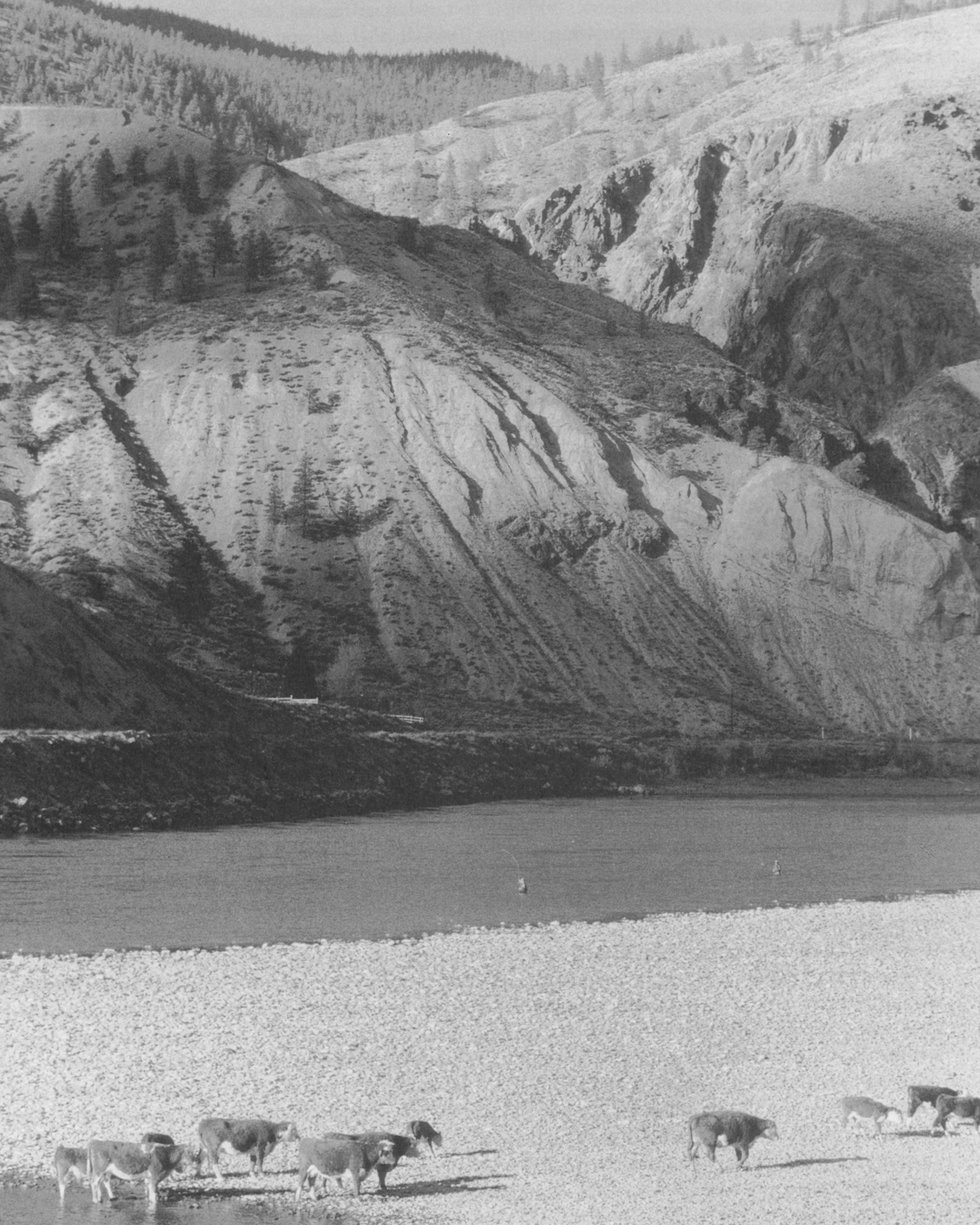 Essay: Thompson River Steelhead — The Fisheries (Pt. 2)