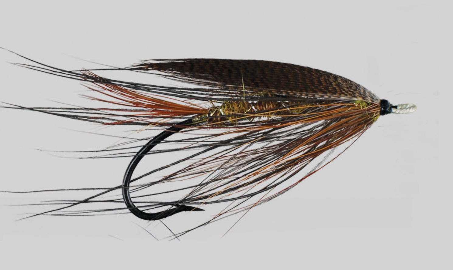 Lady Caroline And Her Famous Fly 