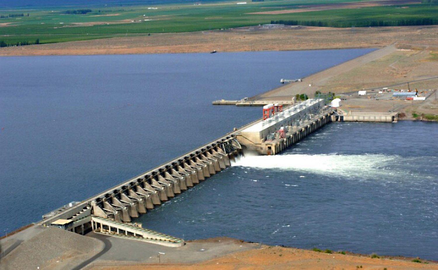 Overshoot Steelhead at Priest Rapids Dam