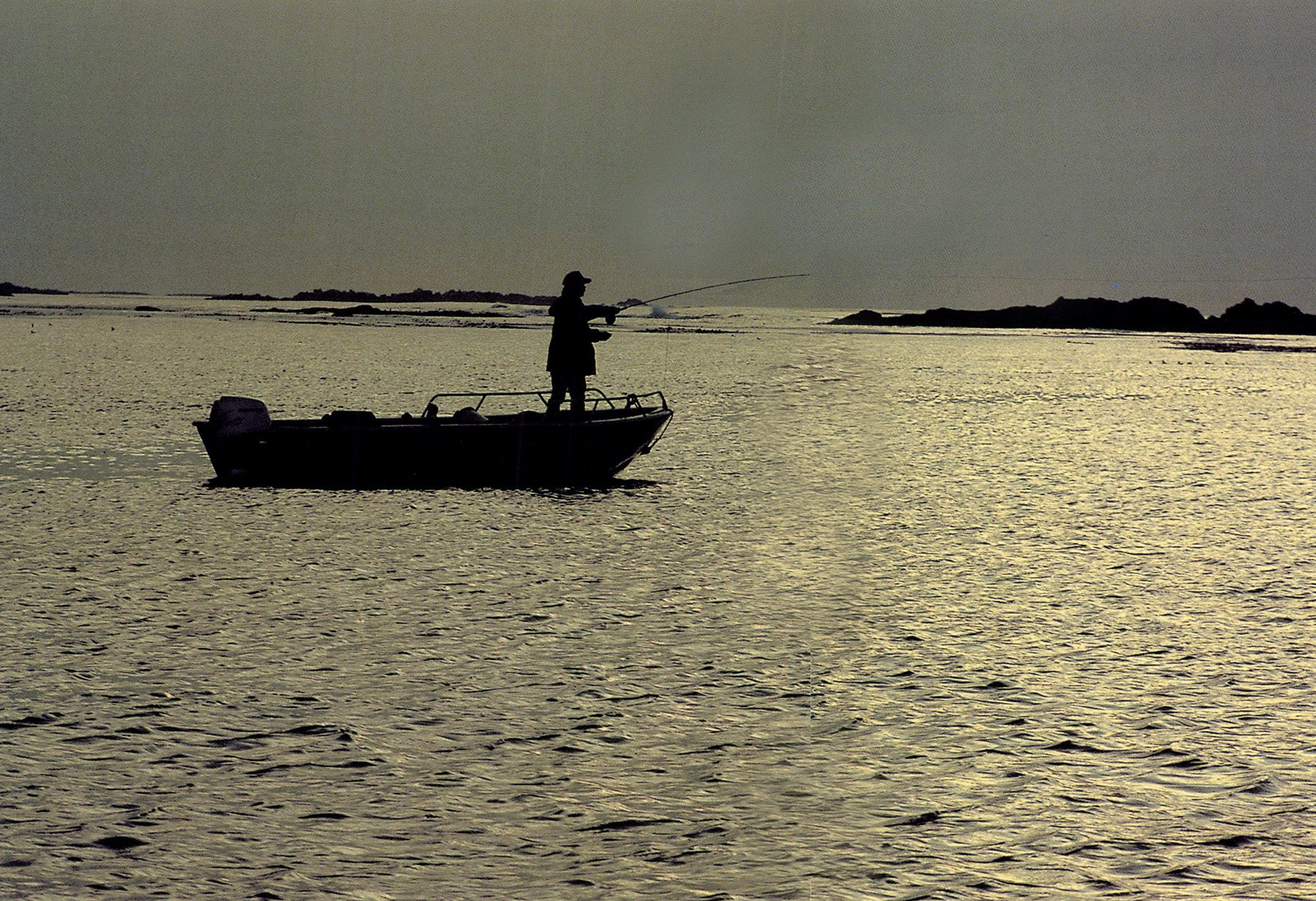 Fly Fishing for Pacific Salmon off Langara Island