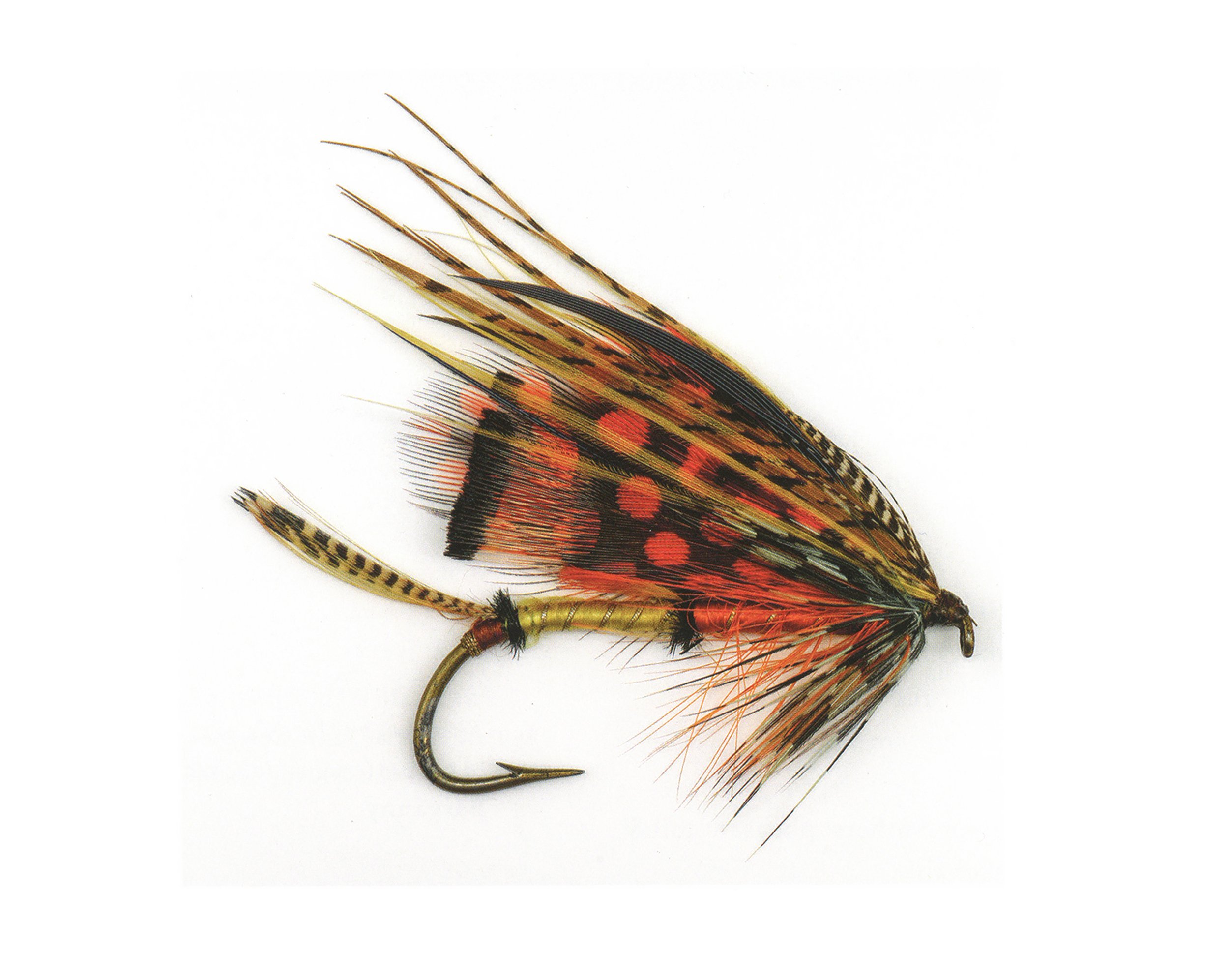 Rare Salmon Fly Pattern: The Barkworth