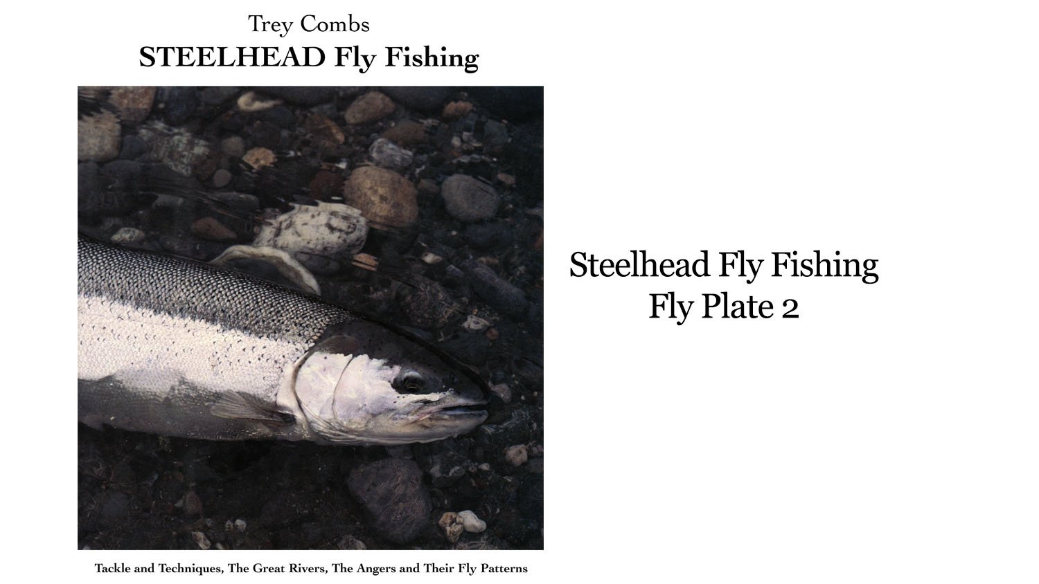 Steelhead Fly Fishing: Fly Plate 2