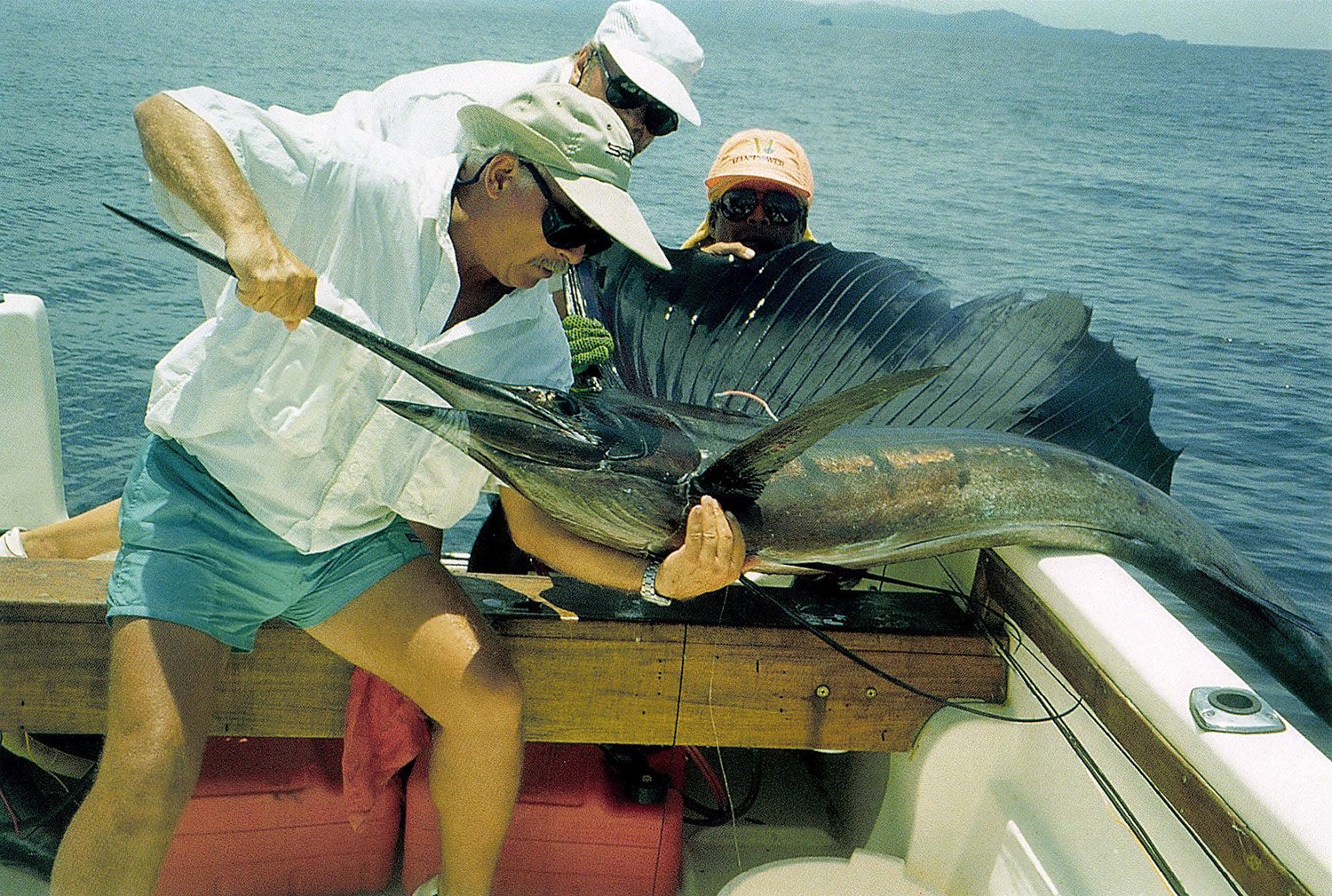 Image of 120 pound pacific sailfish caught in Costa Rica