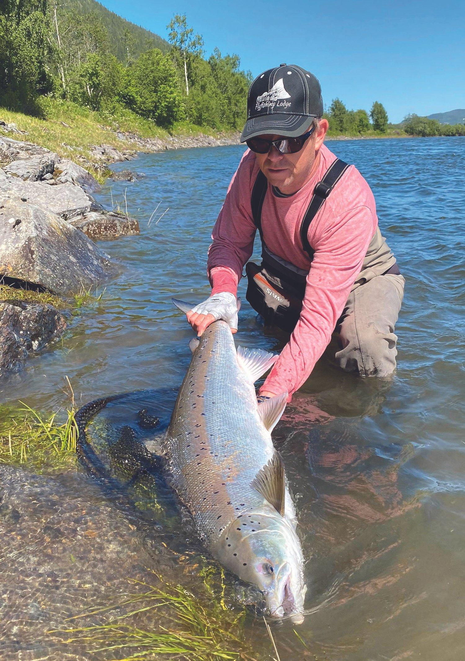 Image of Øystein with a massive wild Atlantic salmon from the Gaula.