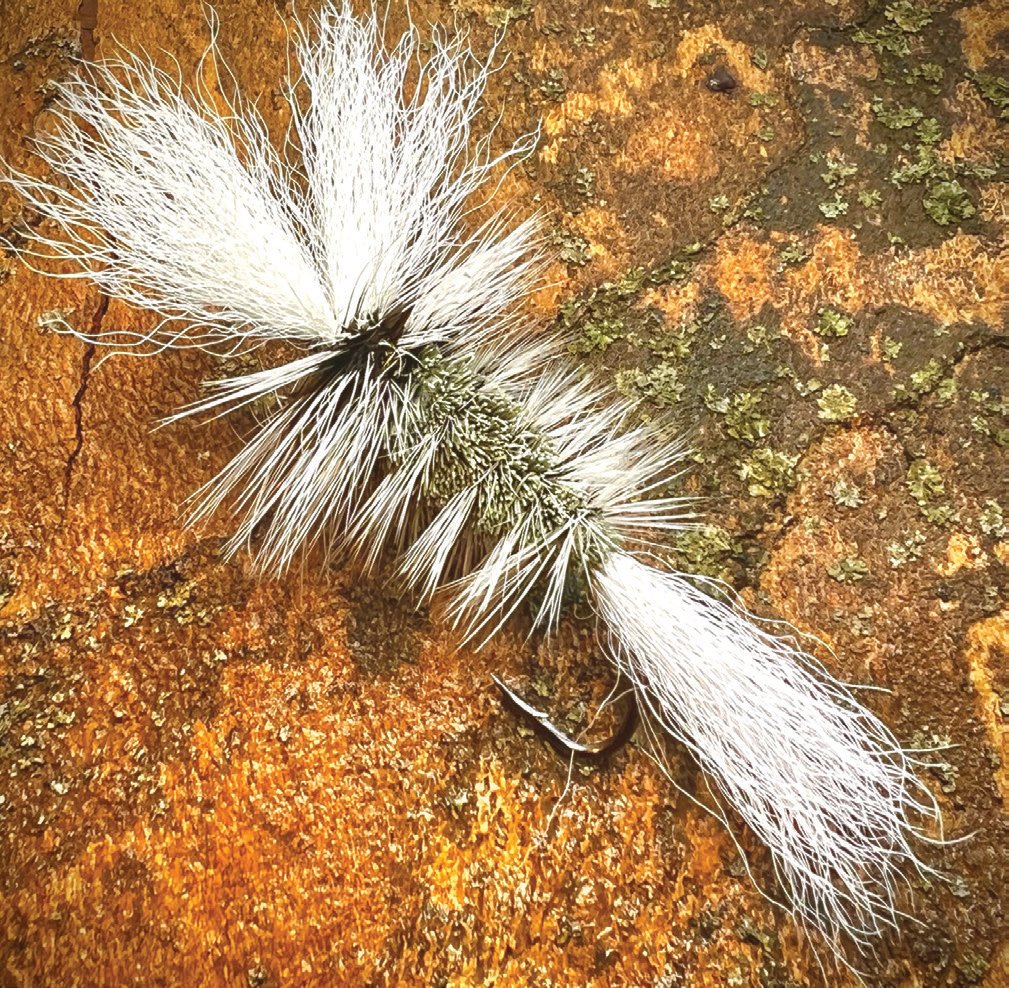 One of the standards of the Matane River, the Canuel, by Raynald Canuel, is unique in that the color of the body of the fly, which is  often described as dun-green, is the secret of the success of this fly.