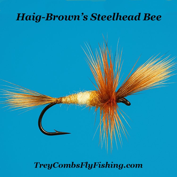The Steelhead Bee dry fly pattern by Roderick Haig-Brown, featuring a fox squirrel wing, divided yellow and brown body, and sparse hackle