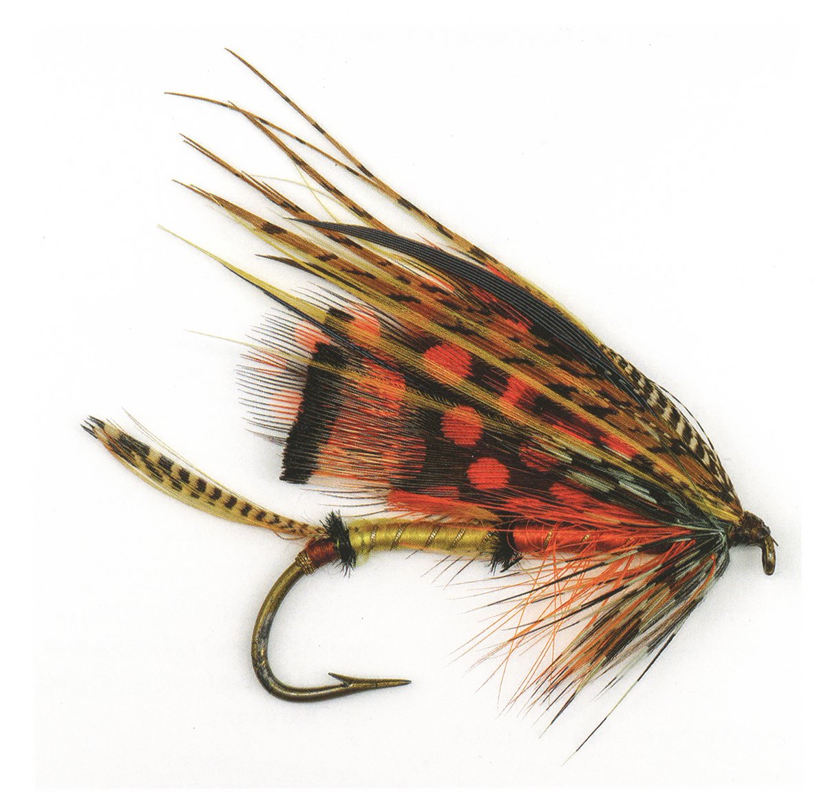 image of salmon fly pattern the barkworth