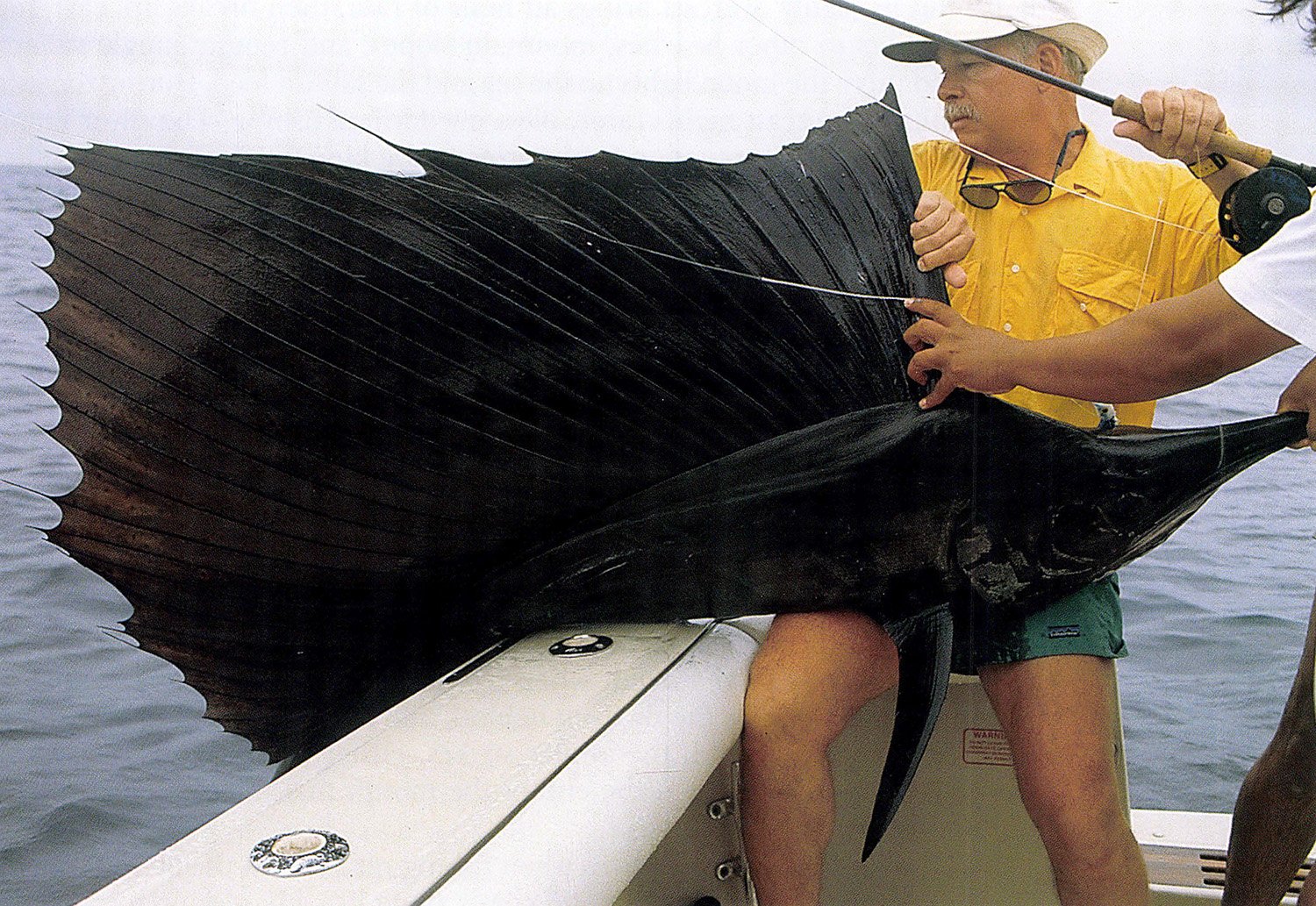 Calin Canales estimated this Pacific sailfish (caught by the author) to weigh at least 140 pounds.