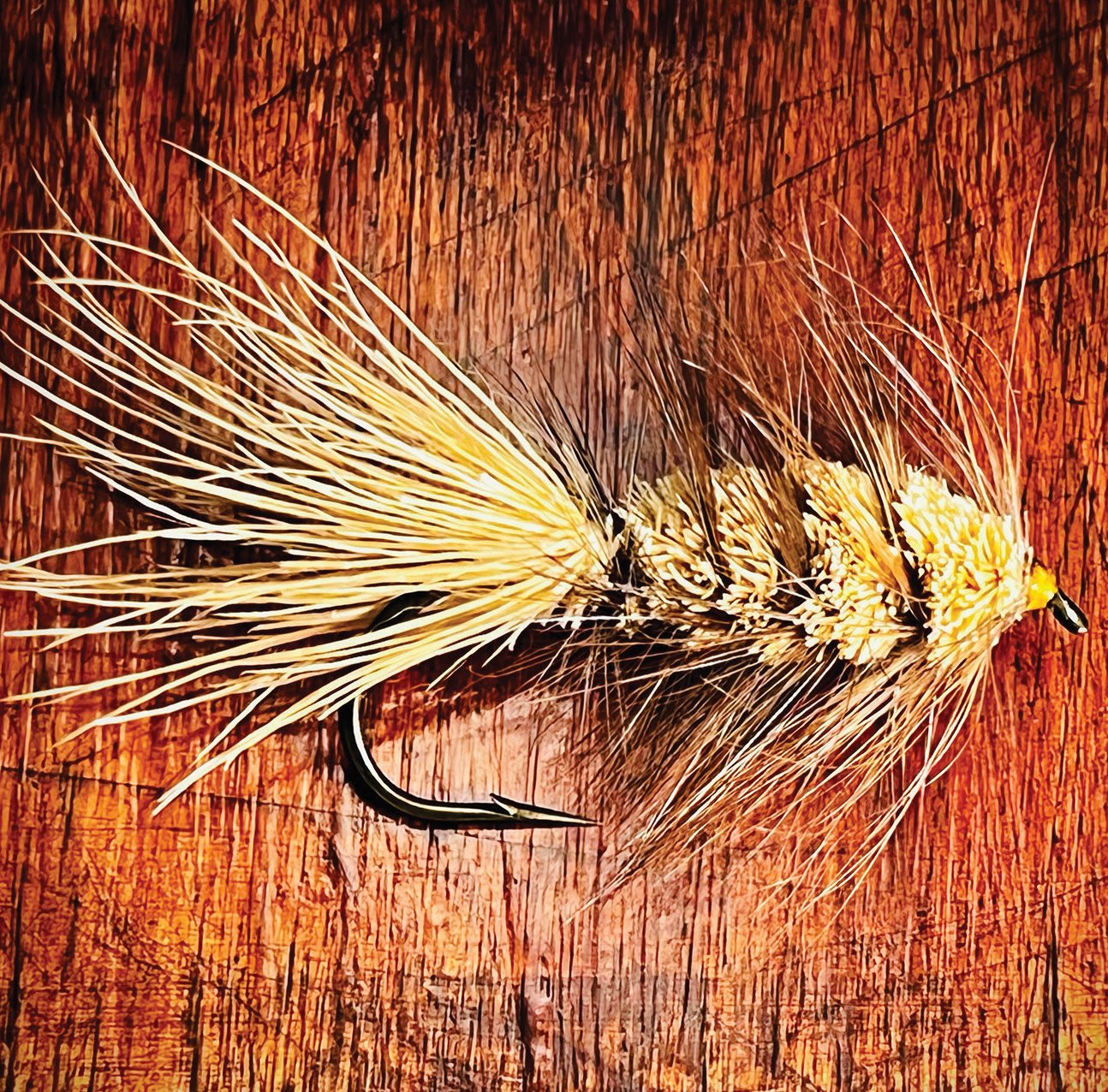 The unruly Carter Bug first took flight in the 1960s on New Brunswick’s Big Salmon River.
