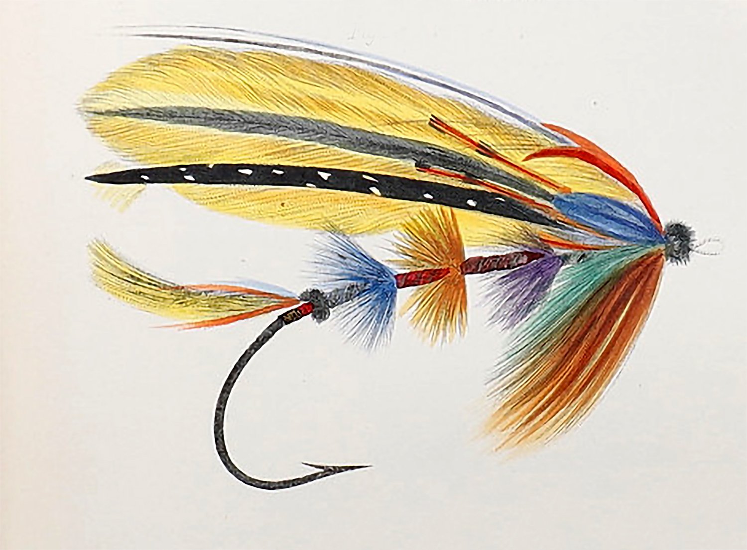 Historical image: Detail from Plate XVII, Figure 4 in Francis Francis’s A Book on Angling