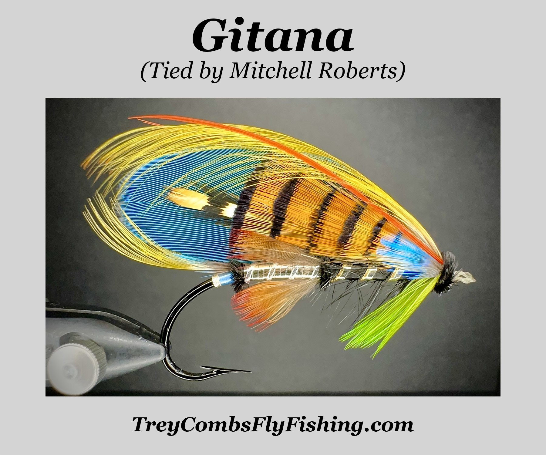 image of gitana salmon fly pattern