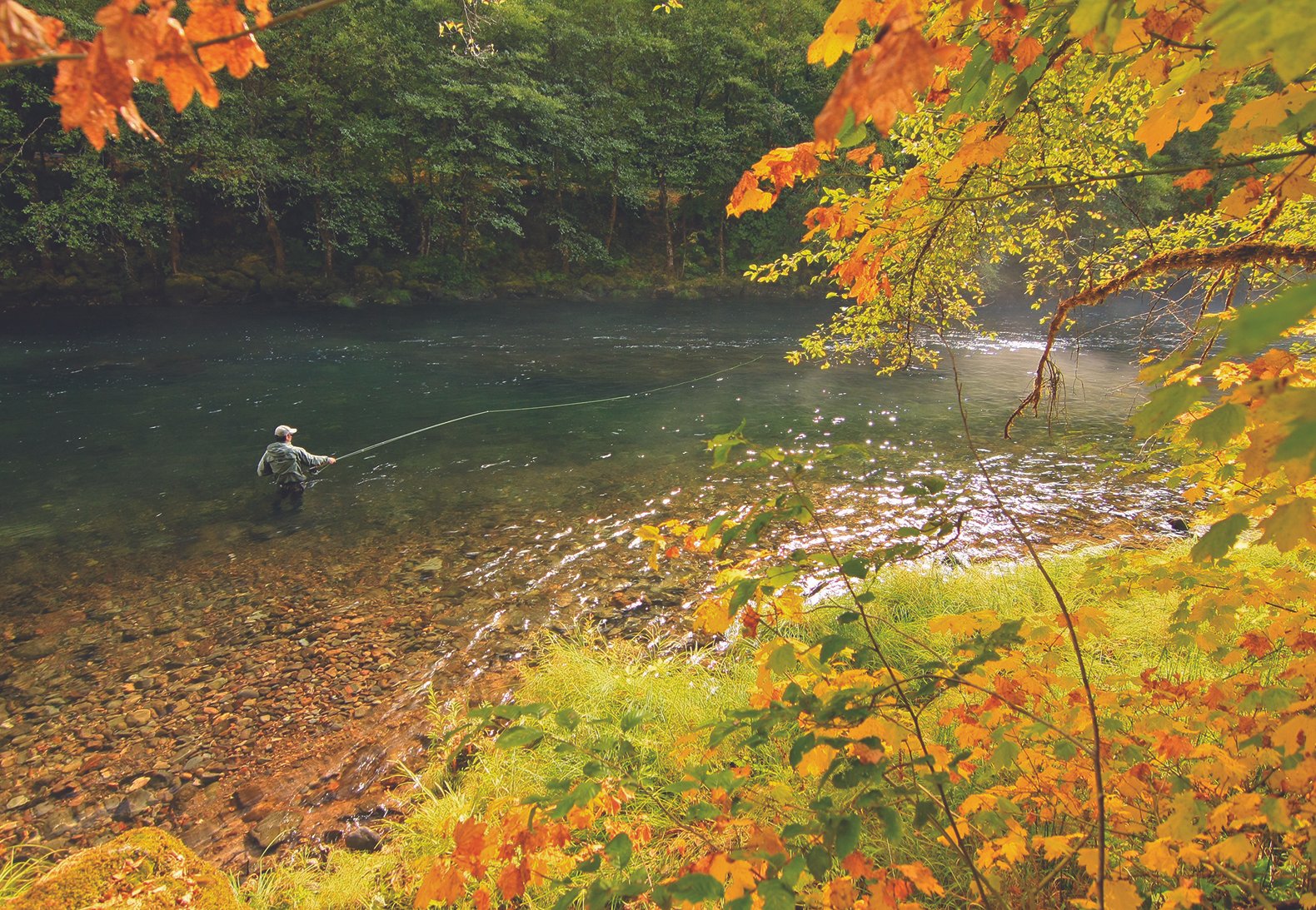 Angler fly fishing for steelhead on the North Umpqua River in autumn.