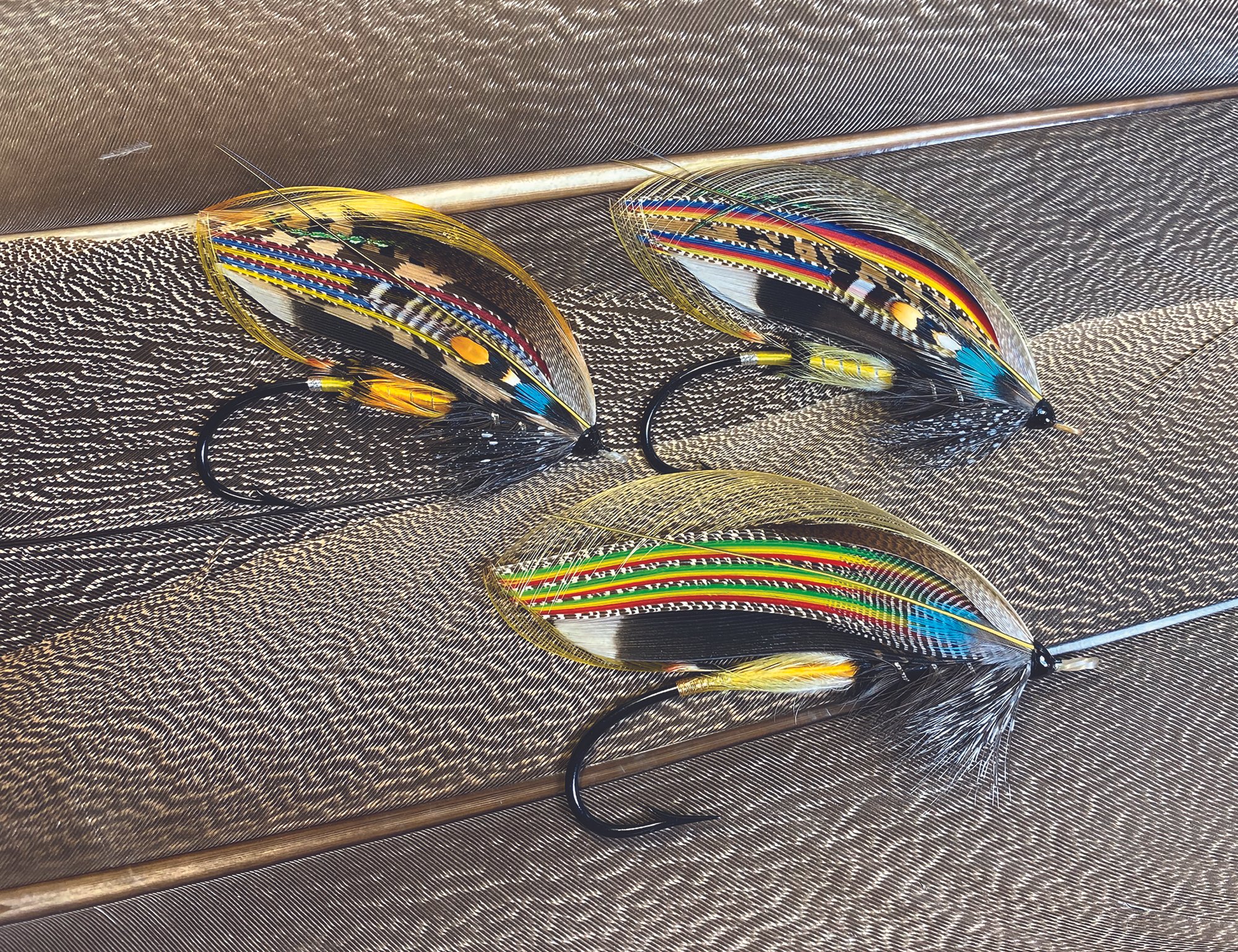 Resting on Kori bustard feathers, versions of the seminal Jock Scott as the pattern evolved over time, as tied by Will Bush.