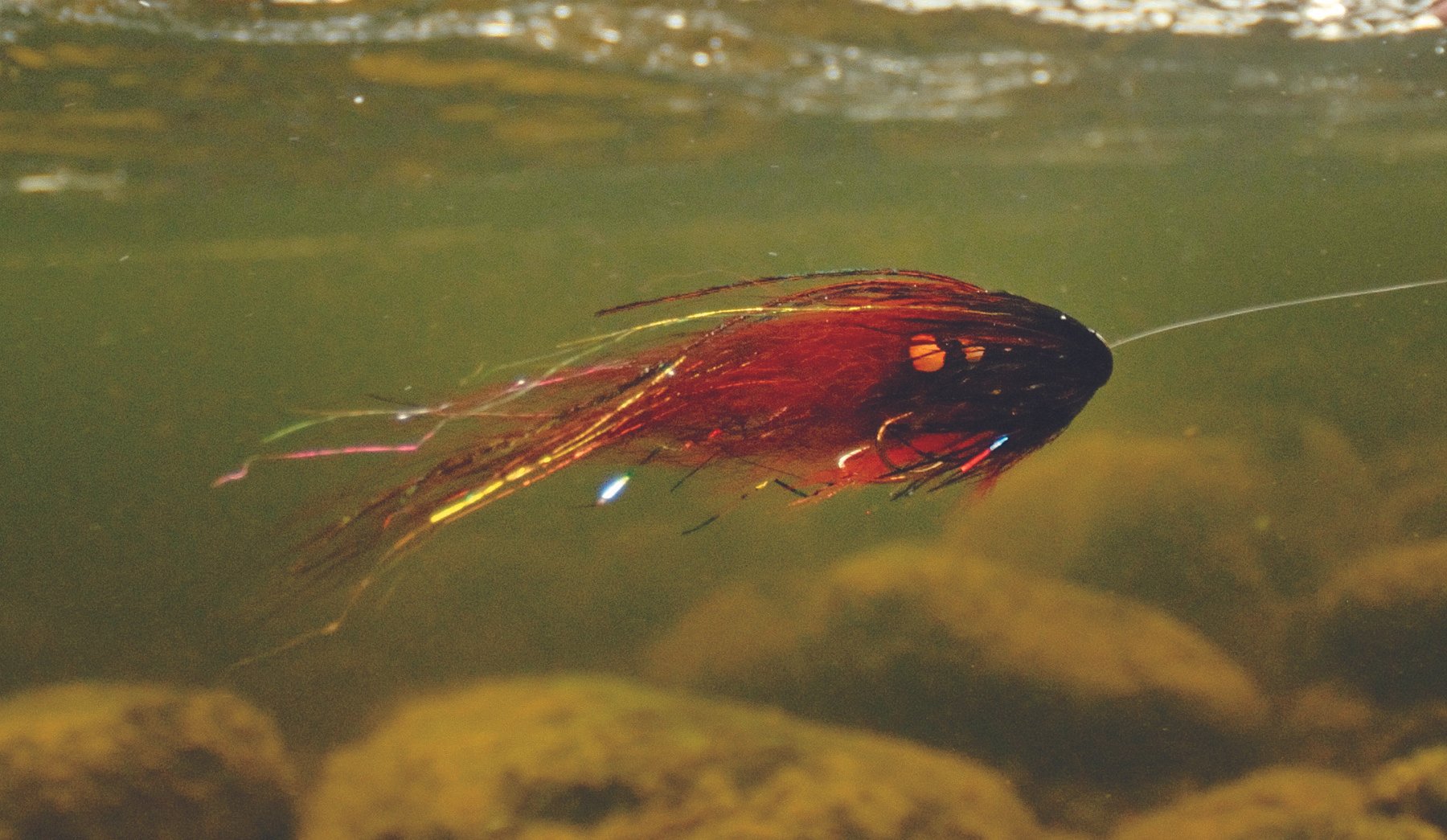 Pahtakorva salmon fly created by mikael frodin