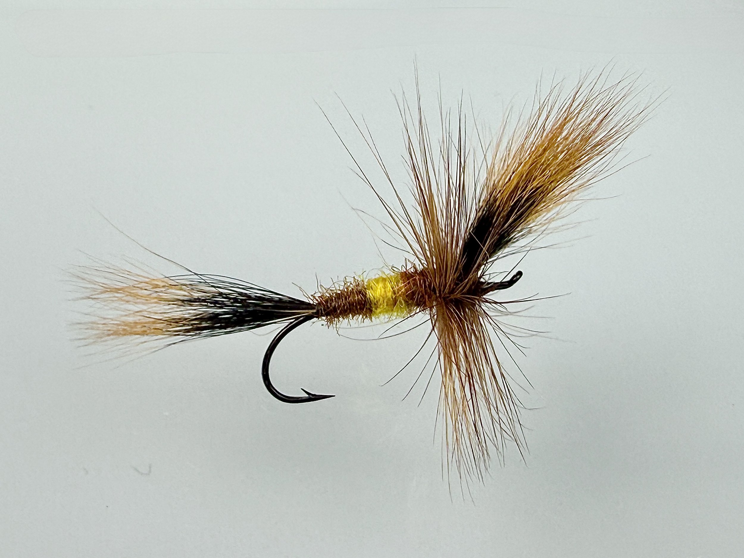 Steelhead Bee, dressed to follow Haig-Brown’s recipe, tied by Seth Cavarretta.