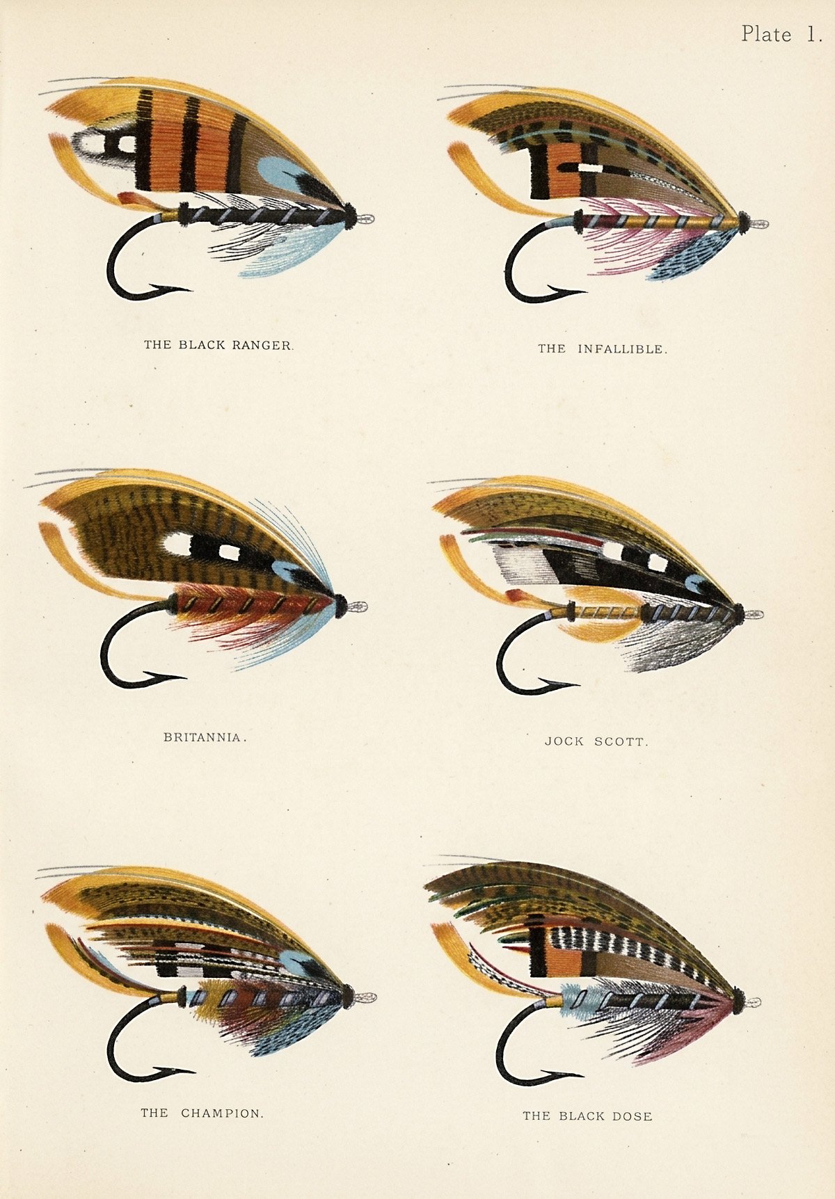 Plate showing multiple classic salmon fly patterns arranged together (Kelson, 1895)
