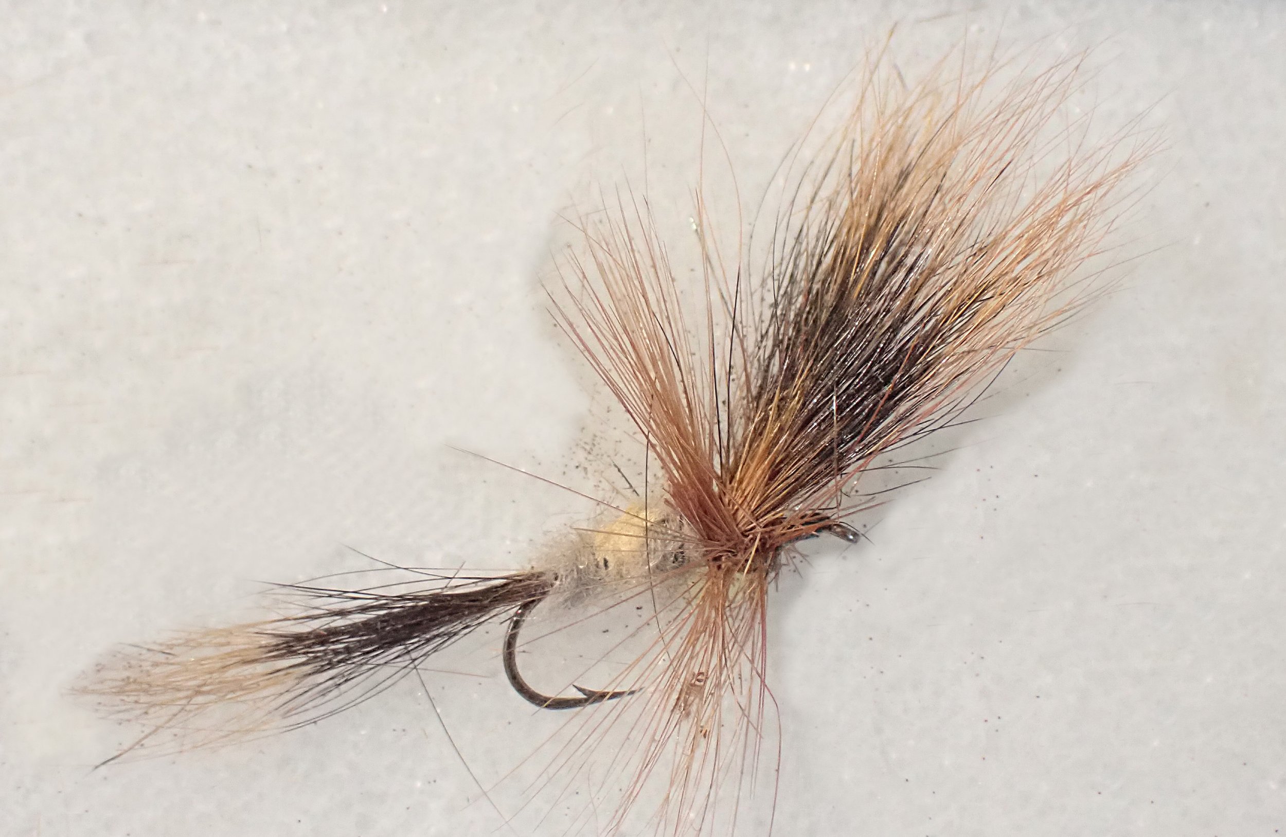 Roderick Haig-Brown’s original Steelhead Bee fly from Plate 5 of Steelhead Fly Fishing and Flies, photographed by the American Museum of Fly Fishing.