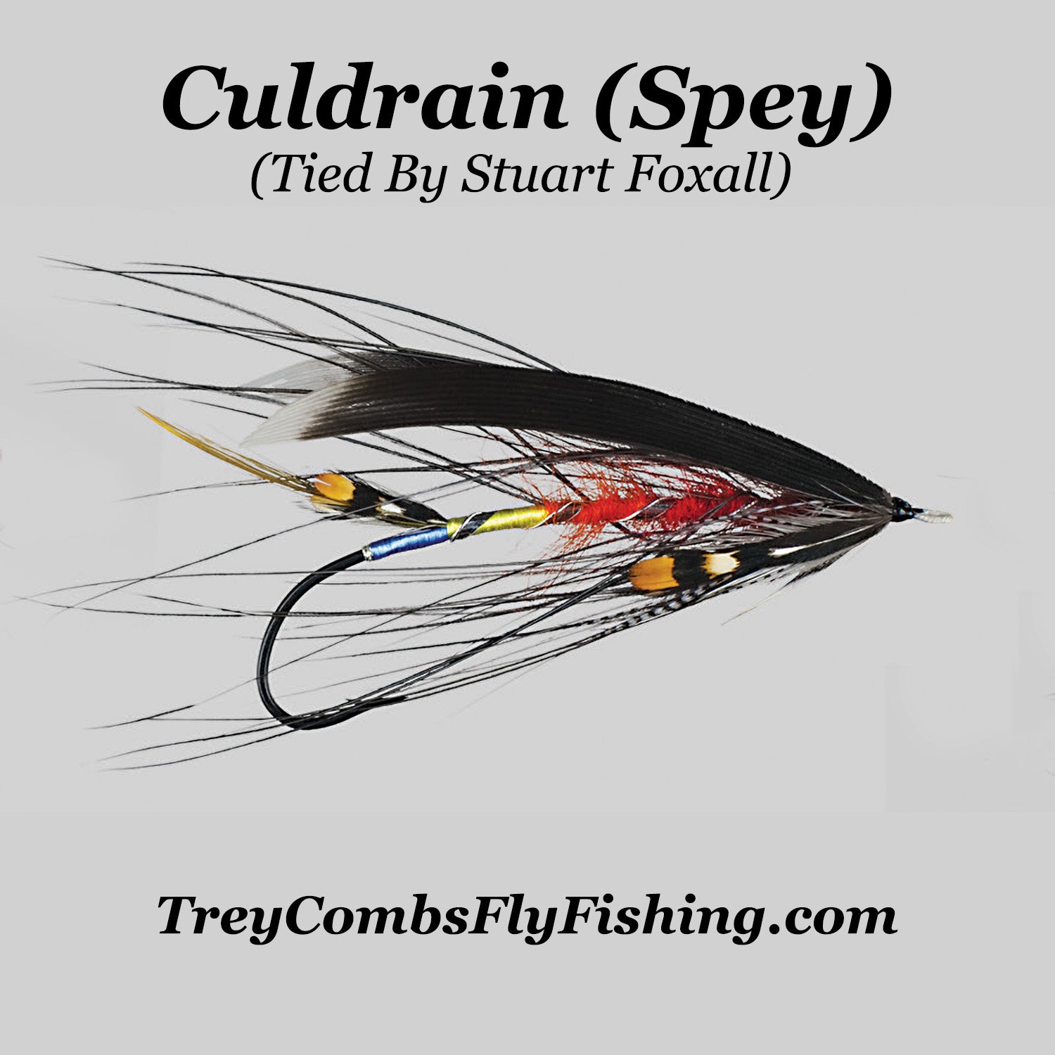 Culdrain (Spey) fly tied by Stuart Foxall