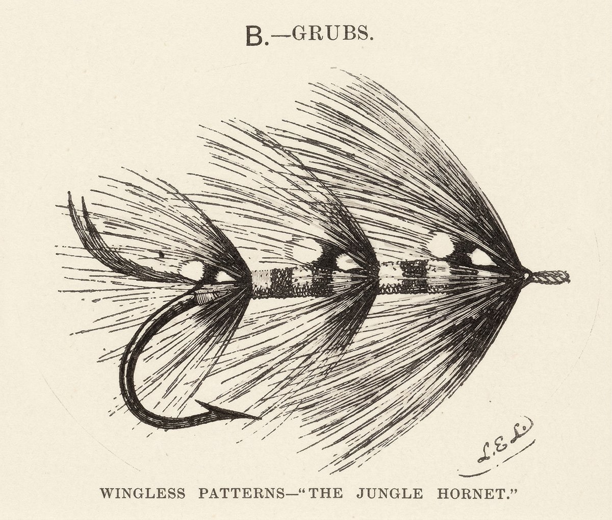 Illustration of a wingless salmon fly pattern known as a grub, “Jungle Hornet” (Kelson, 1895)