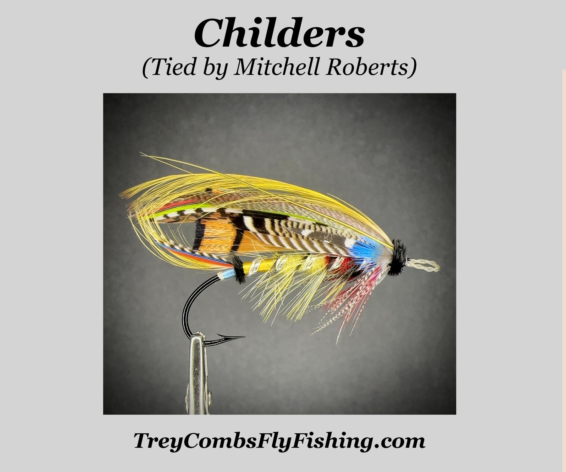 image of childers salmon fly pattern