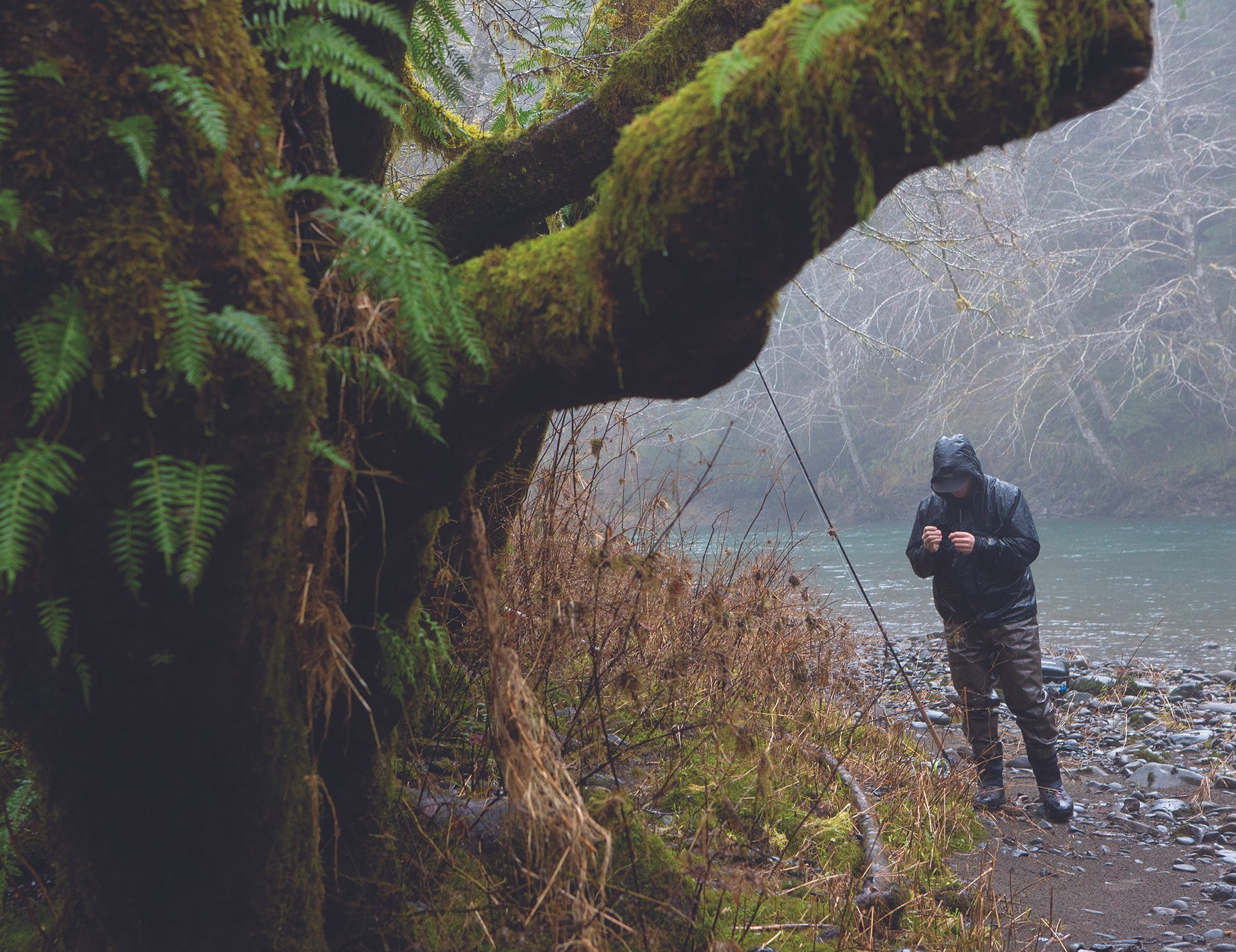 Image of angler on sol duc river in Washington State