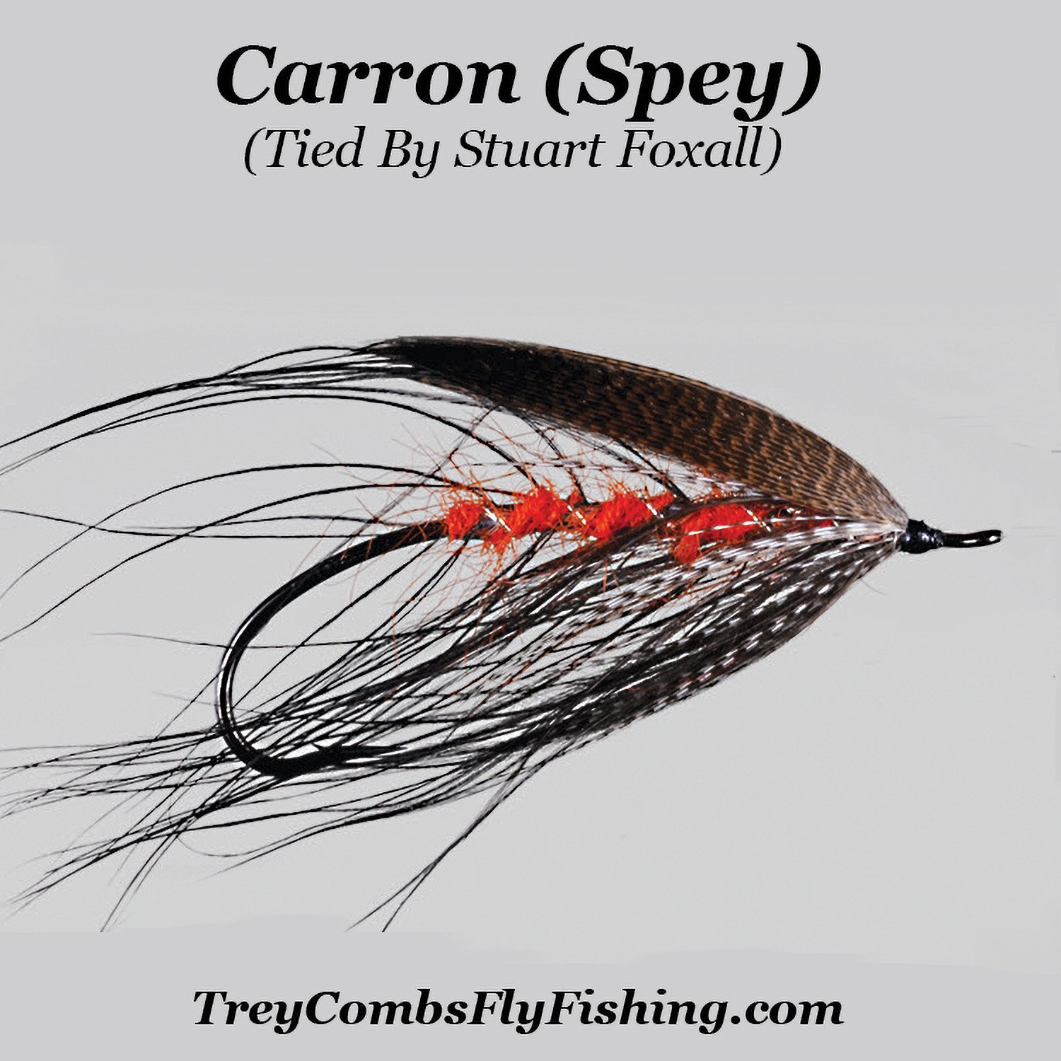Image of carron spey salmon fly tied by stuart foxall