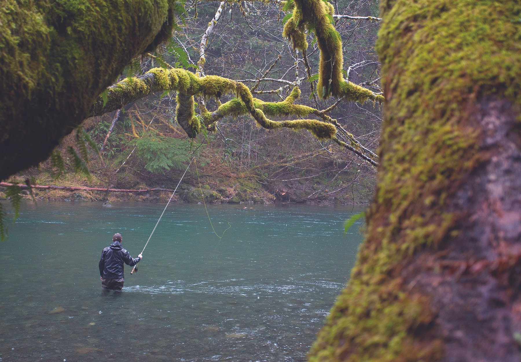 Image of man fly fishing on the Sol Duc in Washington State