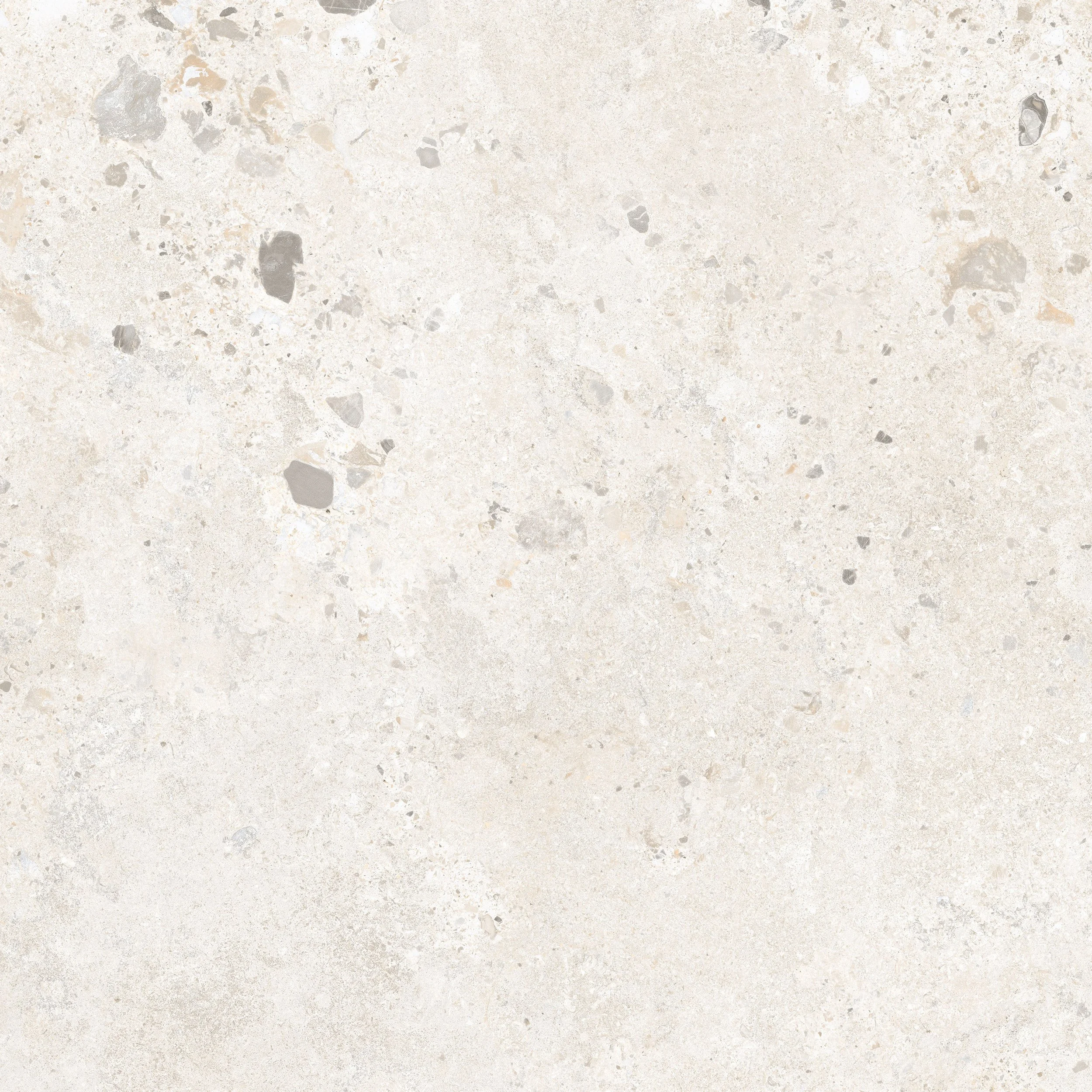 Vera Light 600x600 faces (1).jpg